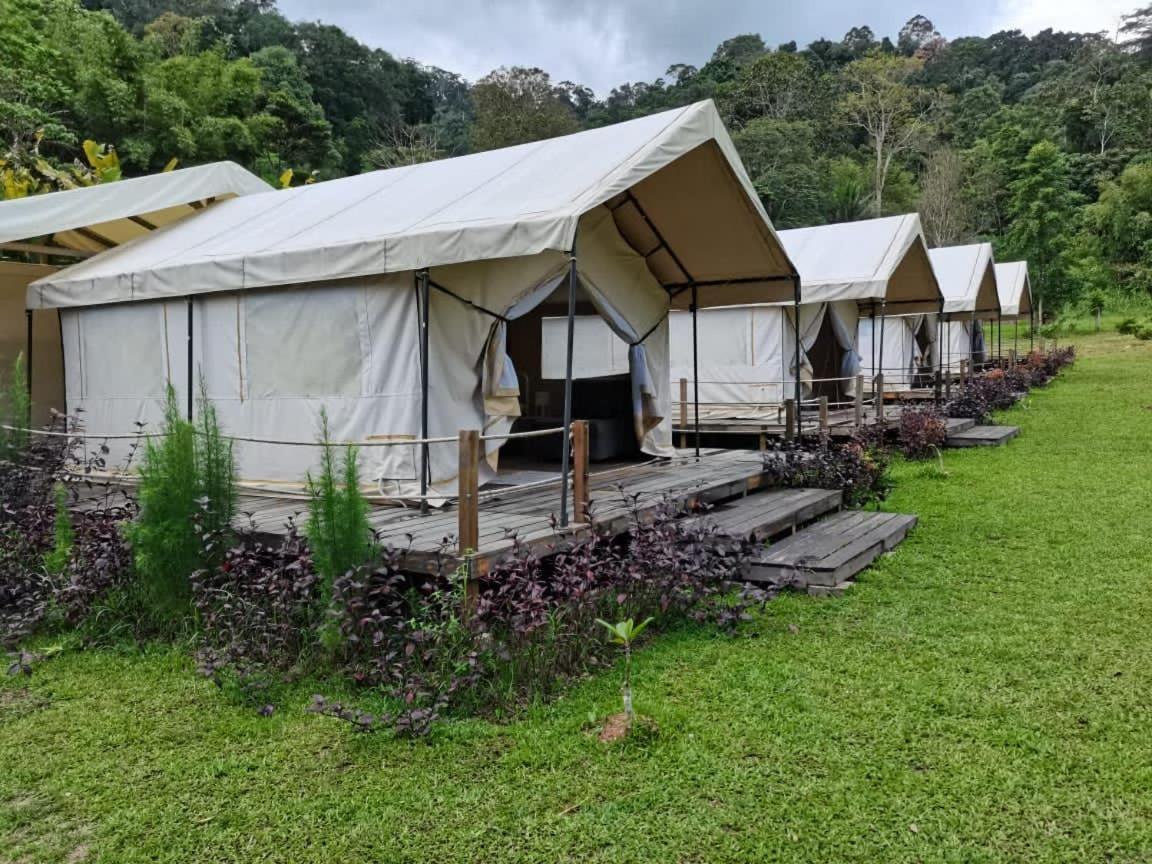 Luxury tent Canopy Tampik Valley *